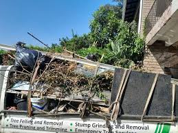 Best Shed Removal  in Fairbury, NE